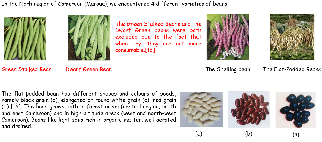 BUR Explanation diagram showing detailed component breakdown - Part 1